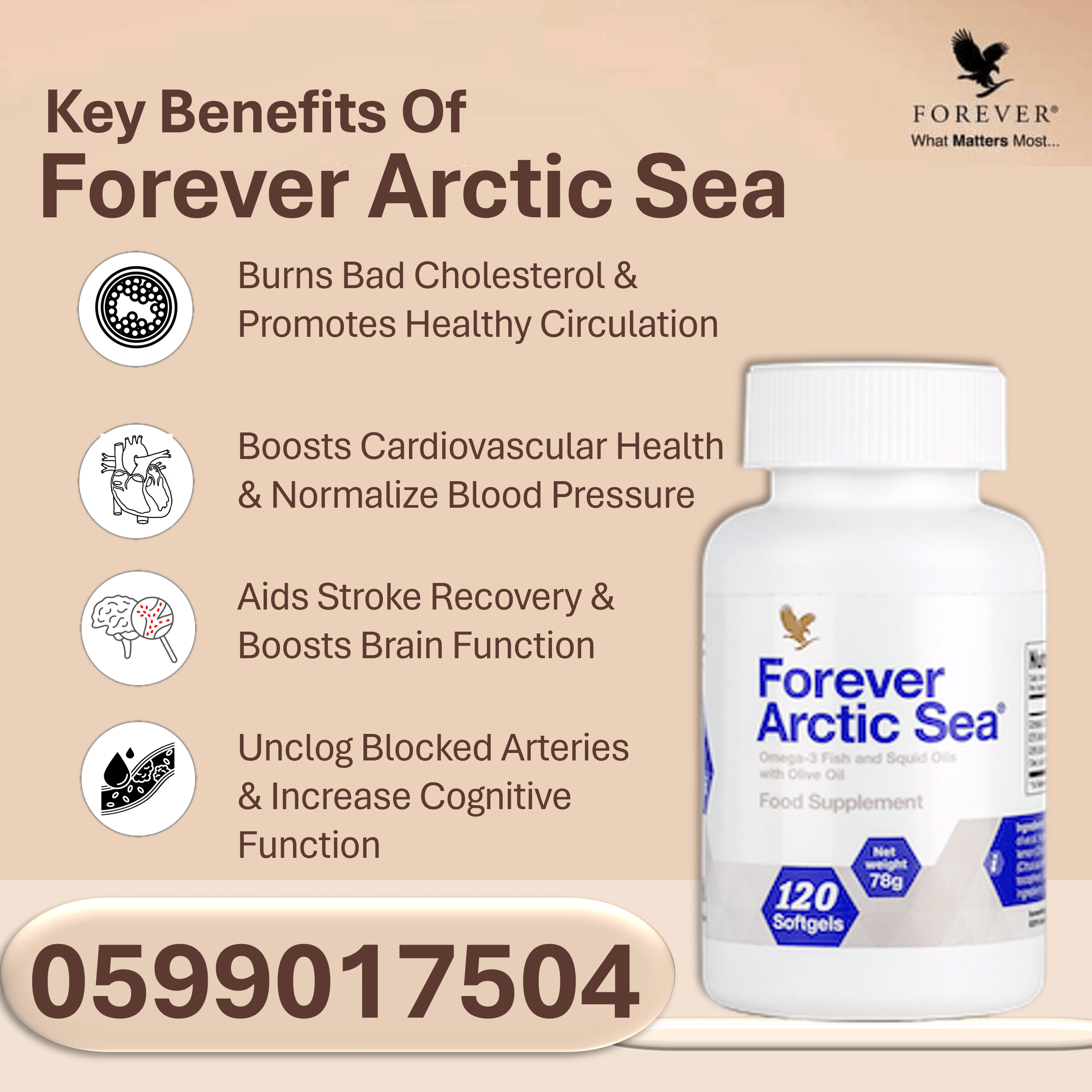 forever arctic sea in ghana