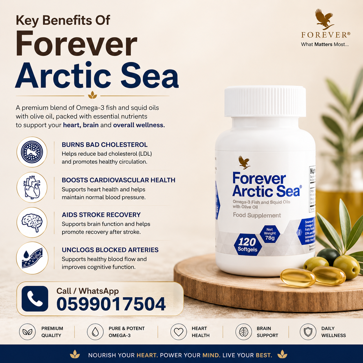 Forever Arctic Sea - Image 4